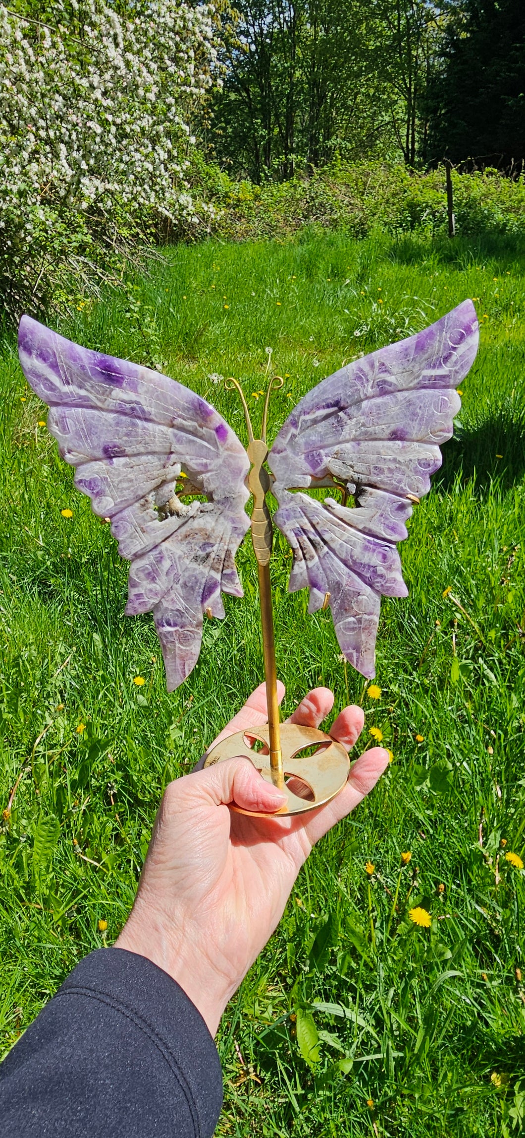 Chevron Amethyst Butterfly