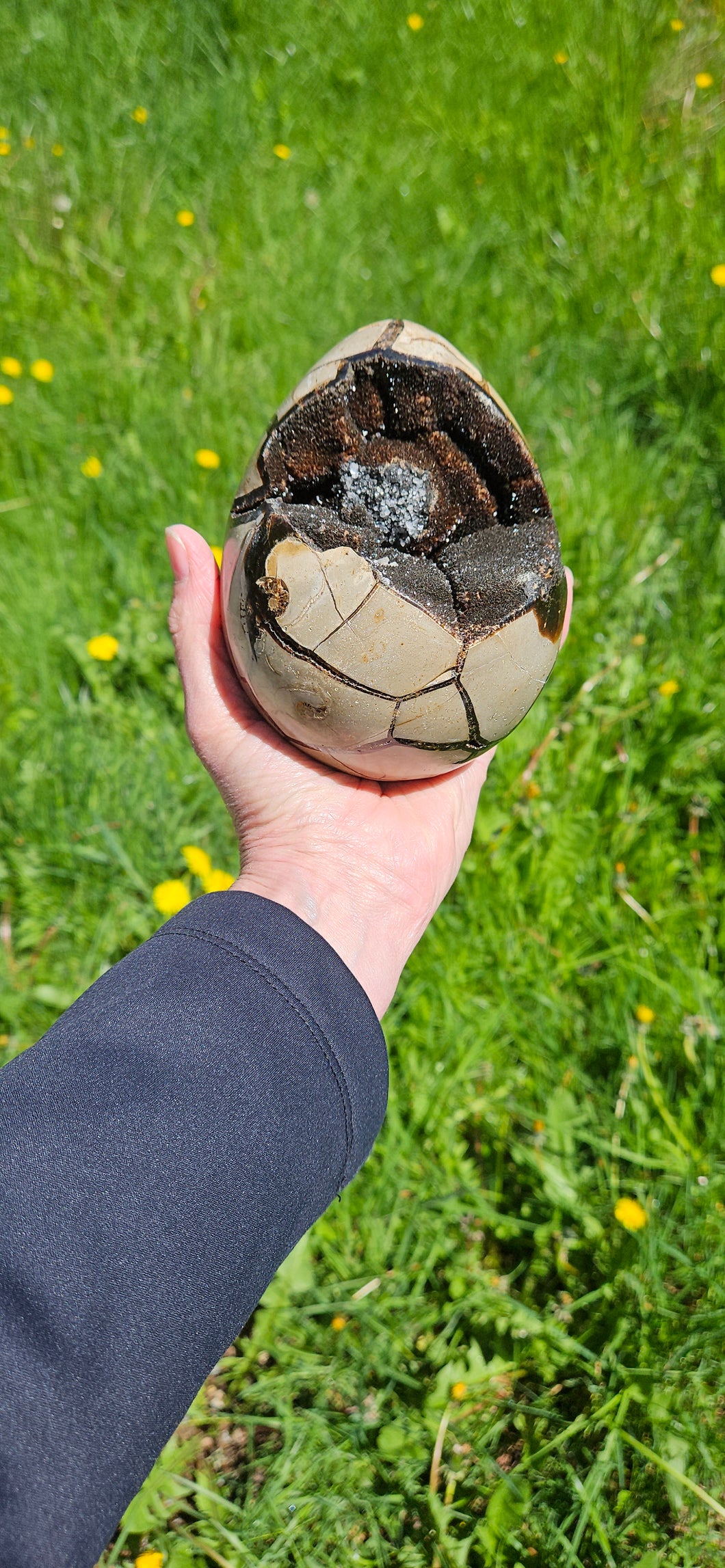 Septarian Druzy Geode Egg