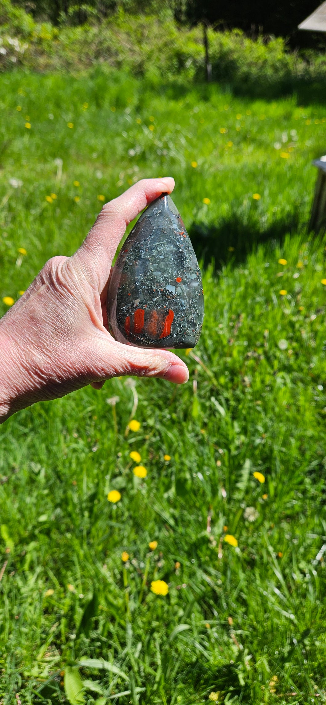 African Bloodstone Teardrop