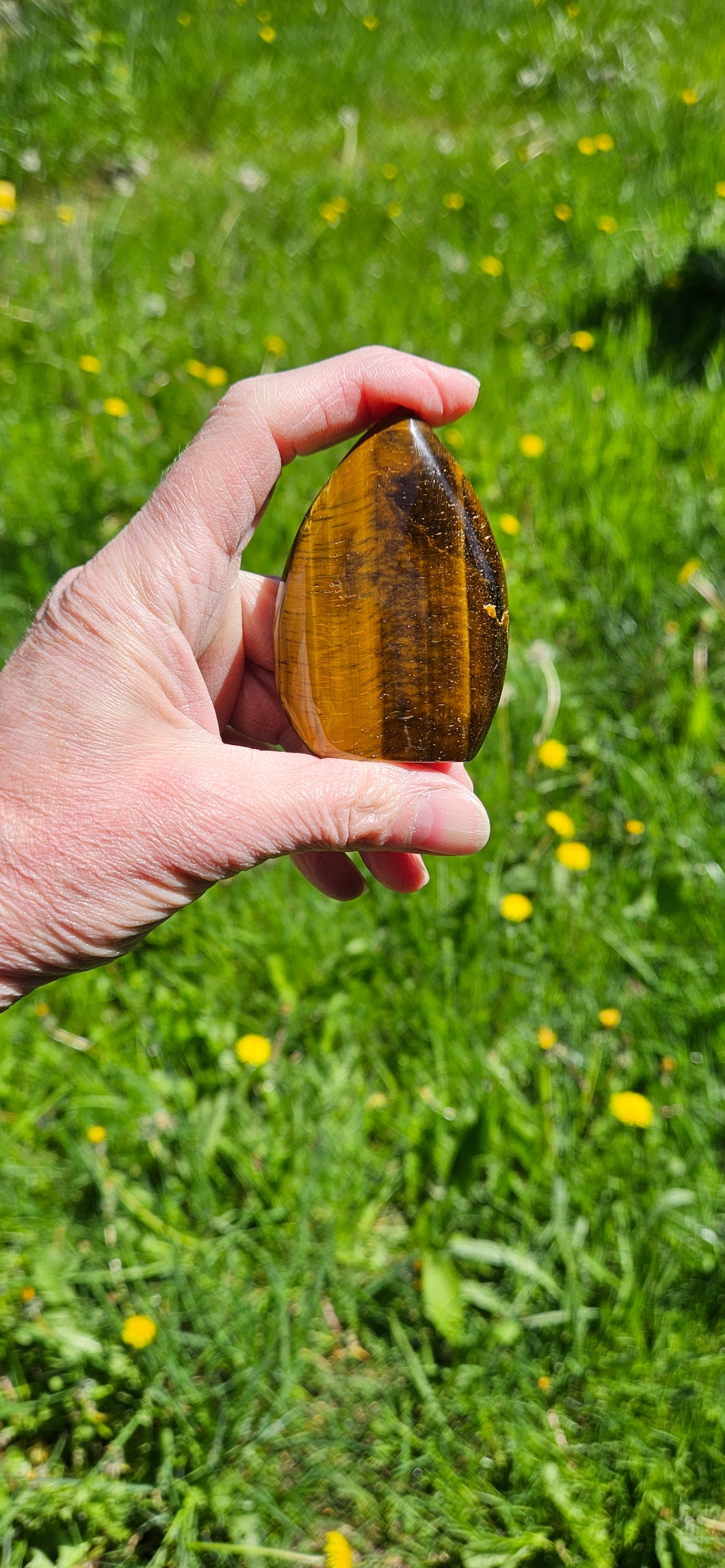 Tiger Eye Teardrop