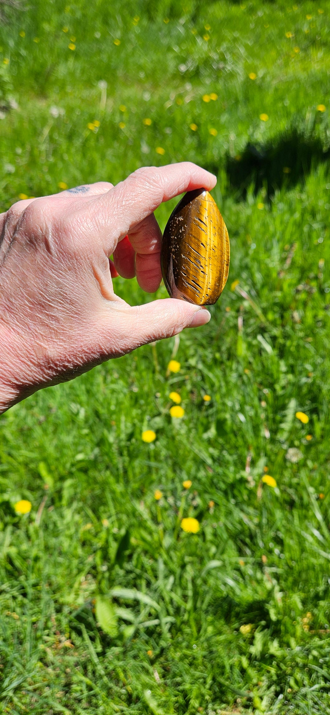 Tiger Eye Teardrop