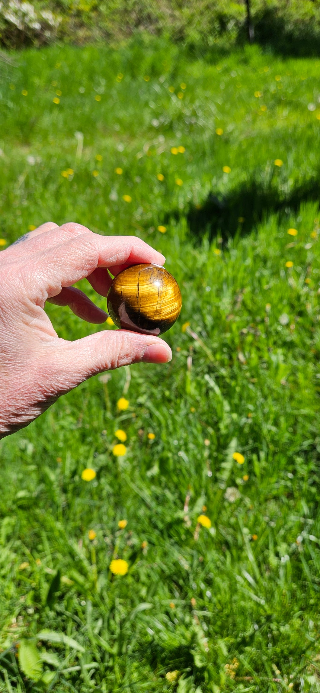 Tiger Eye Sphere