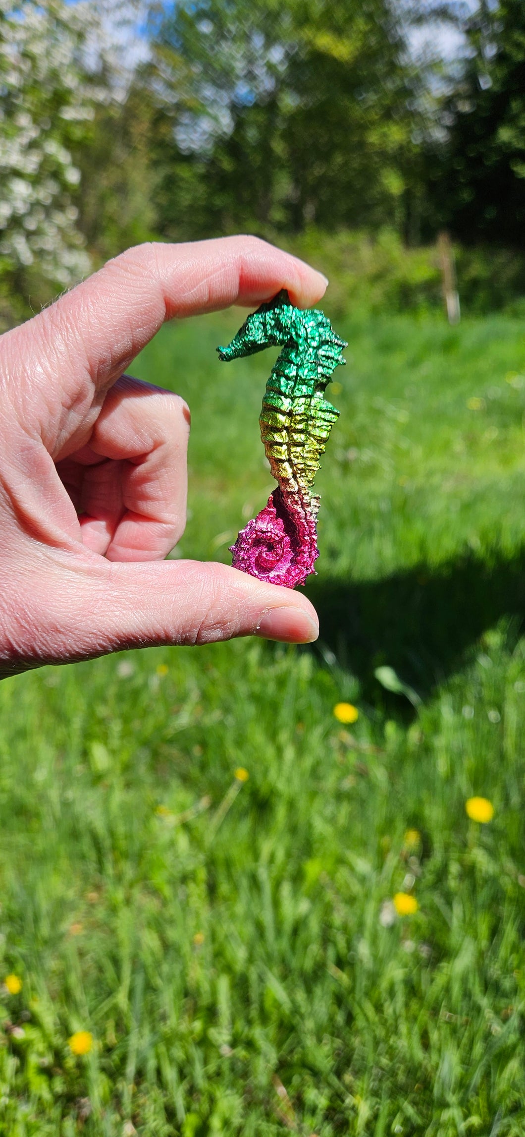 Bismuth Seahorse