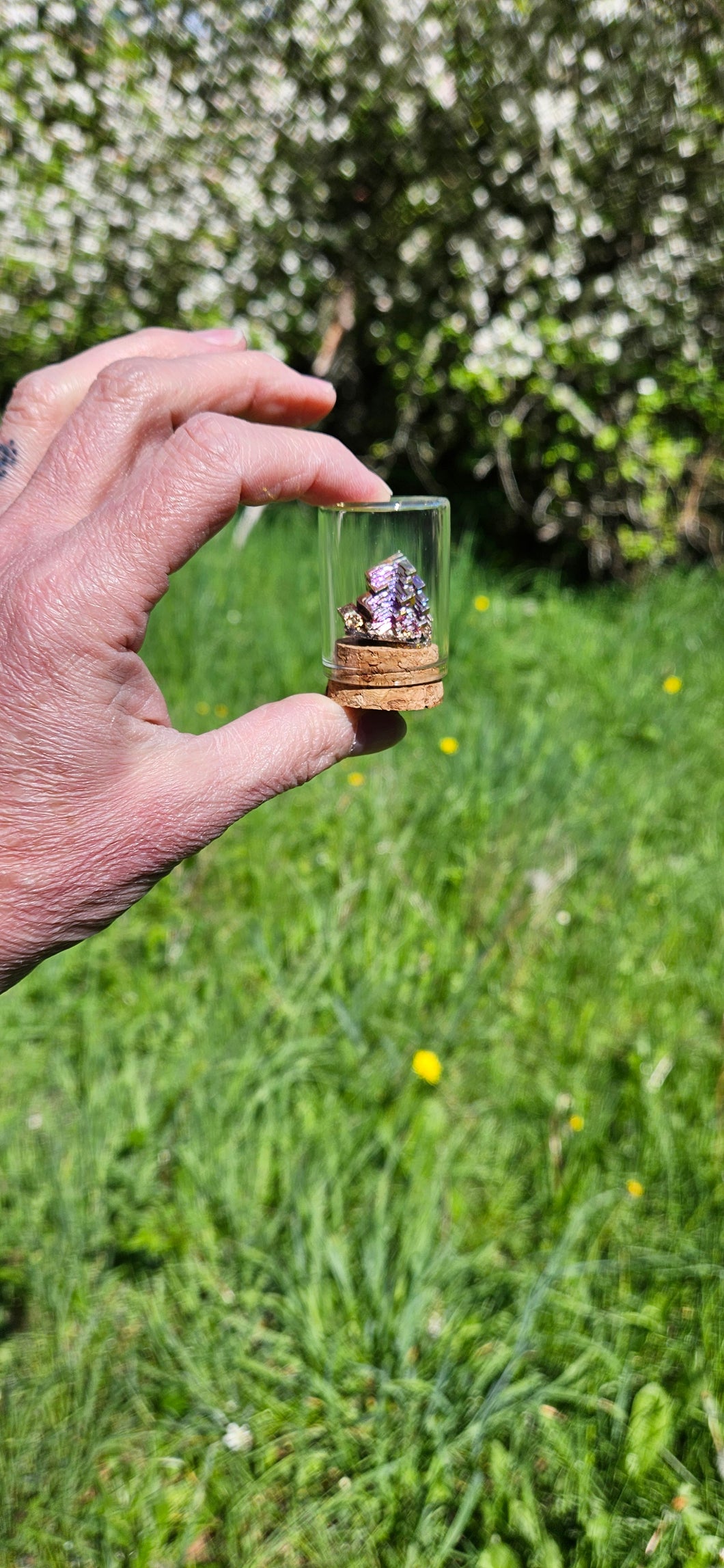 Bismuth in Glass Display