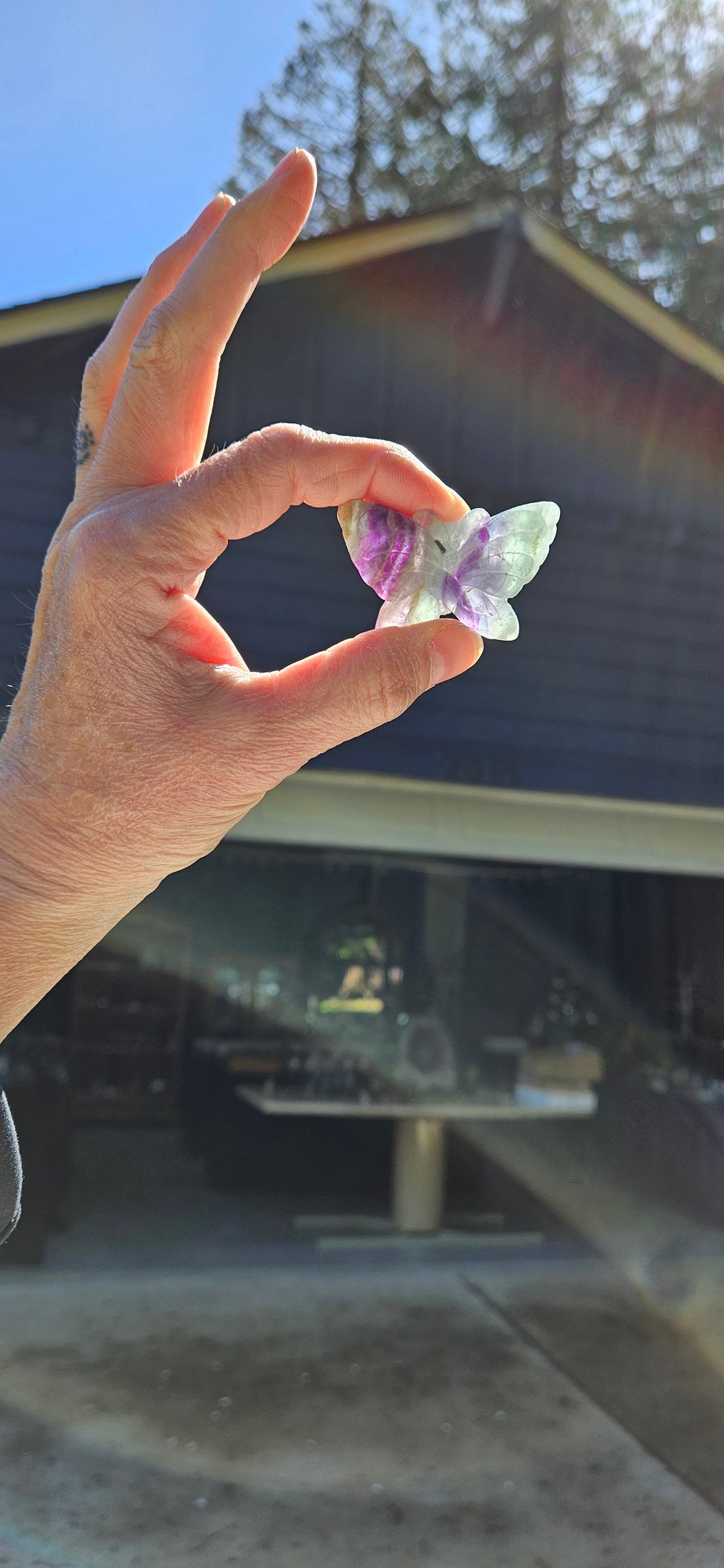 Fluorite Butterfly