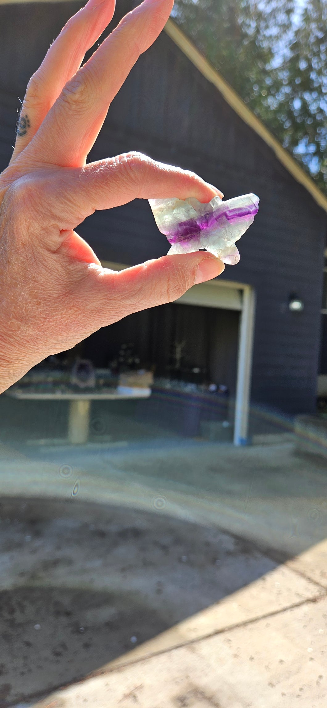 Fluorite Butterfly