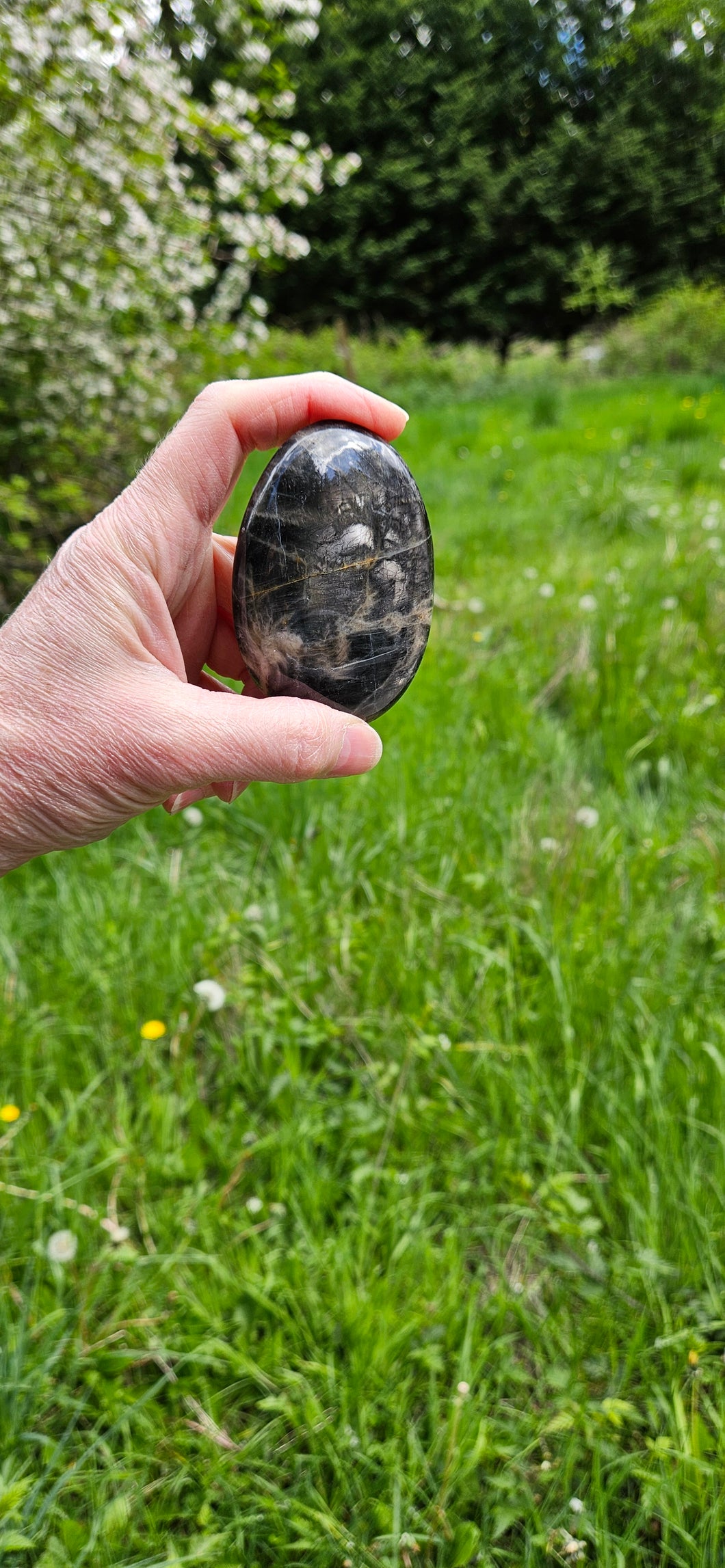 Black Moonstone Palm Stone