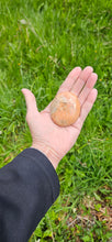 Load image into Gallery viewer, Peach Moonstone Palm Stone
