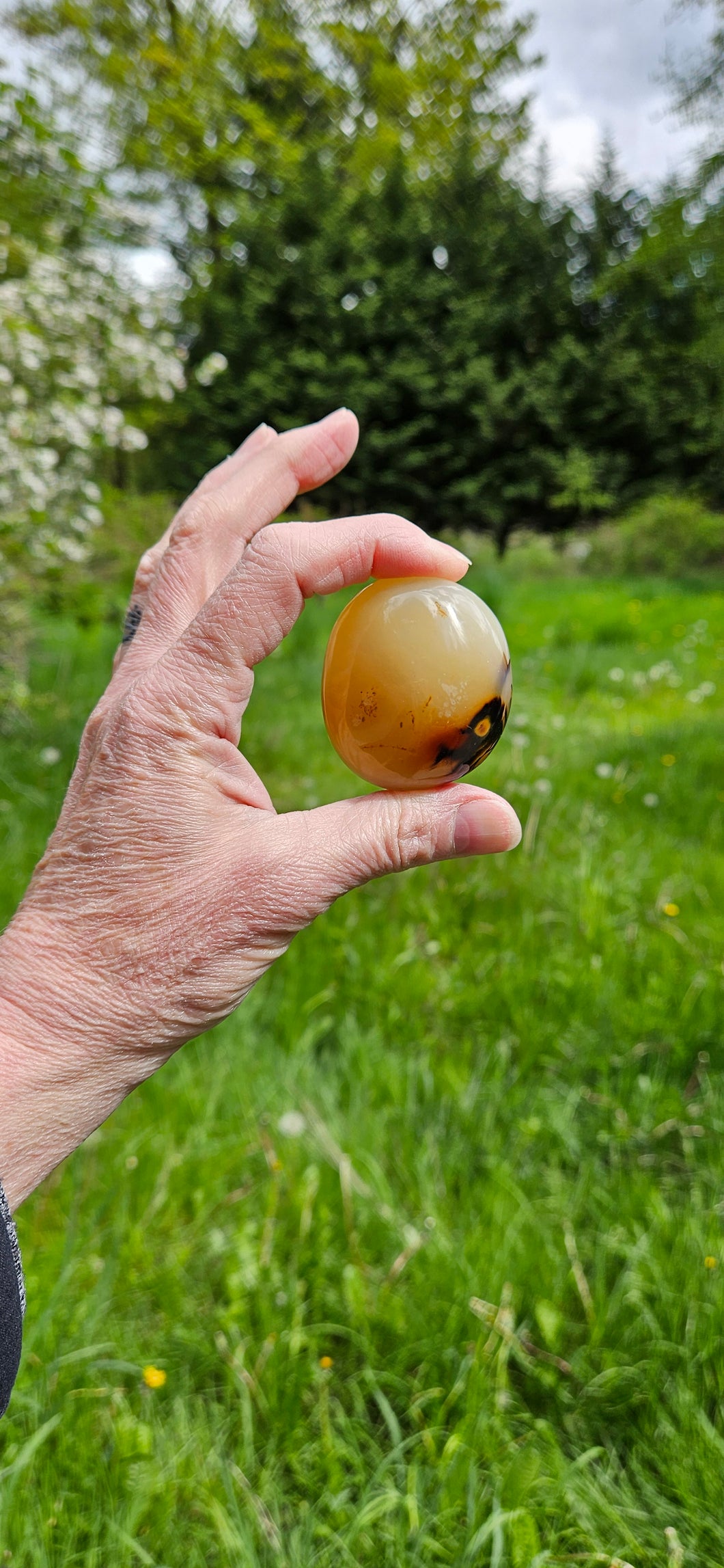 Agate Palm Stone