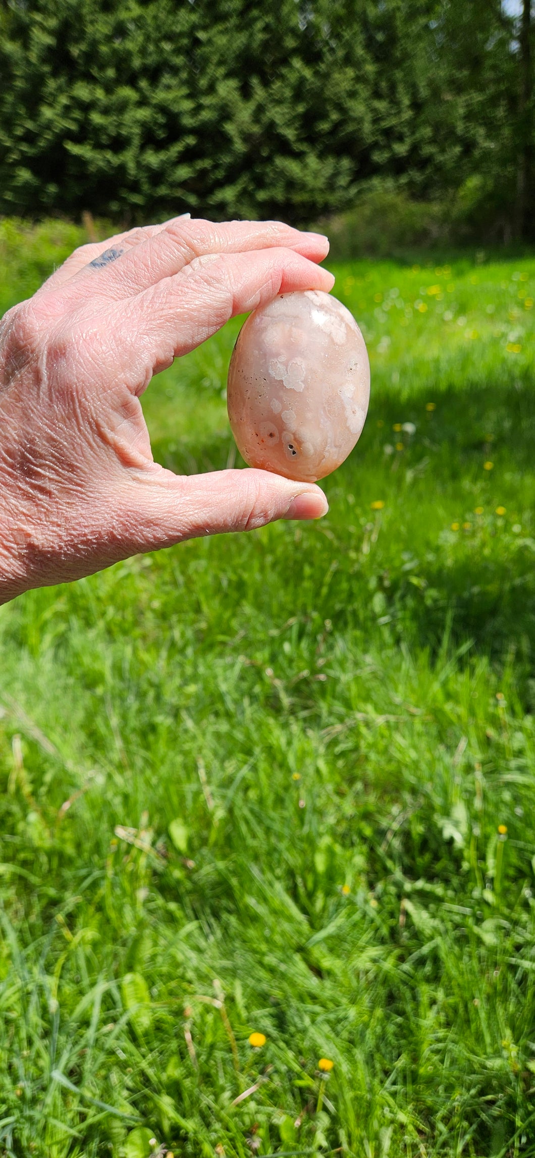 Flower Agate Palm Stone