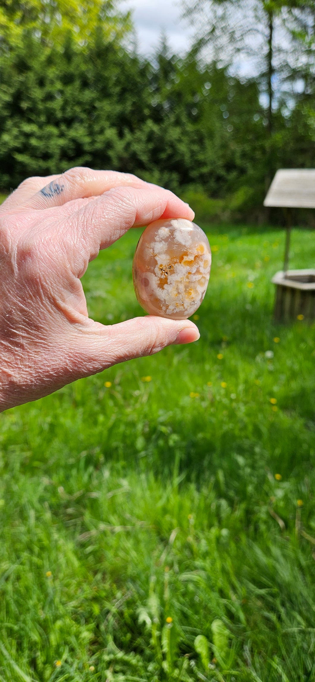 Flower Agate Palm Stone