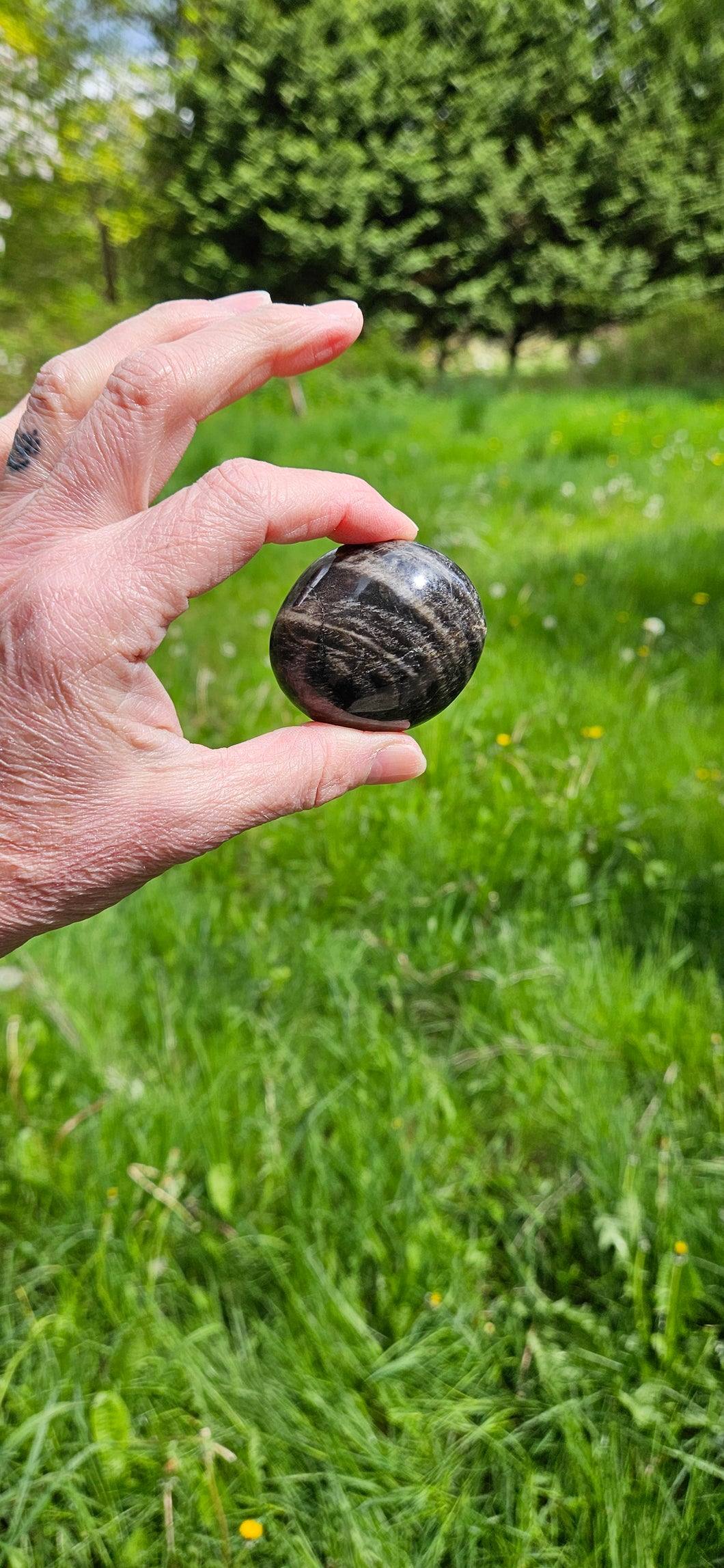 Black Moonstone Palm Stone