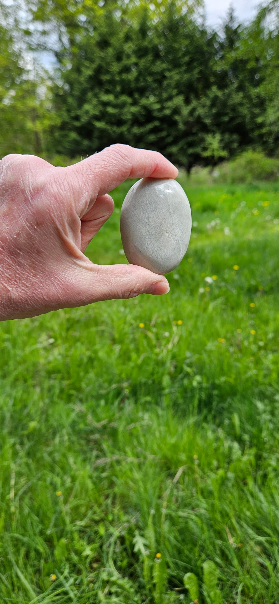 Amazonite Palm Stone