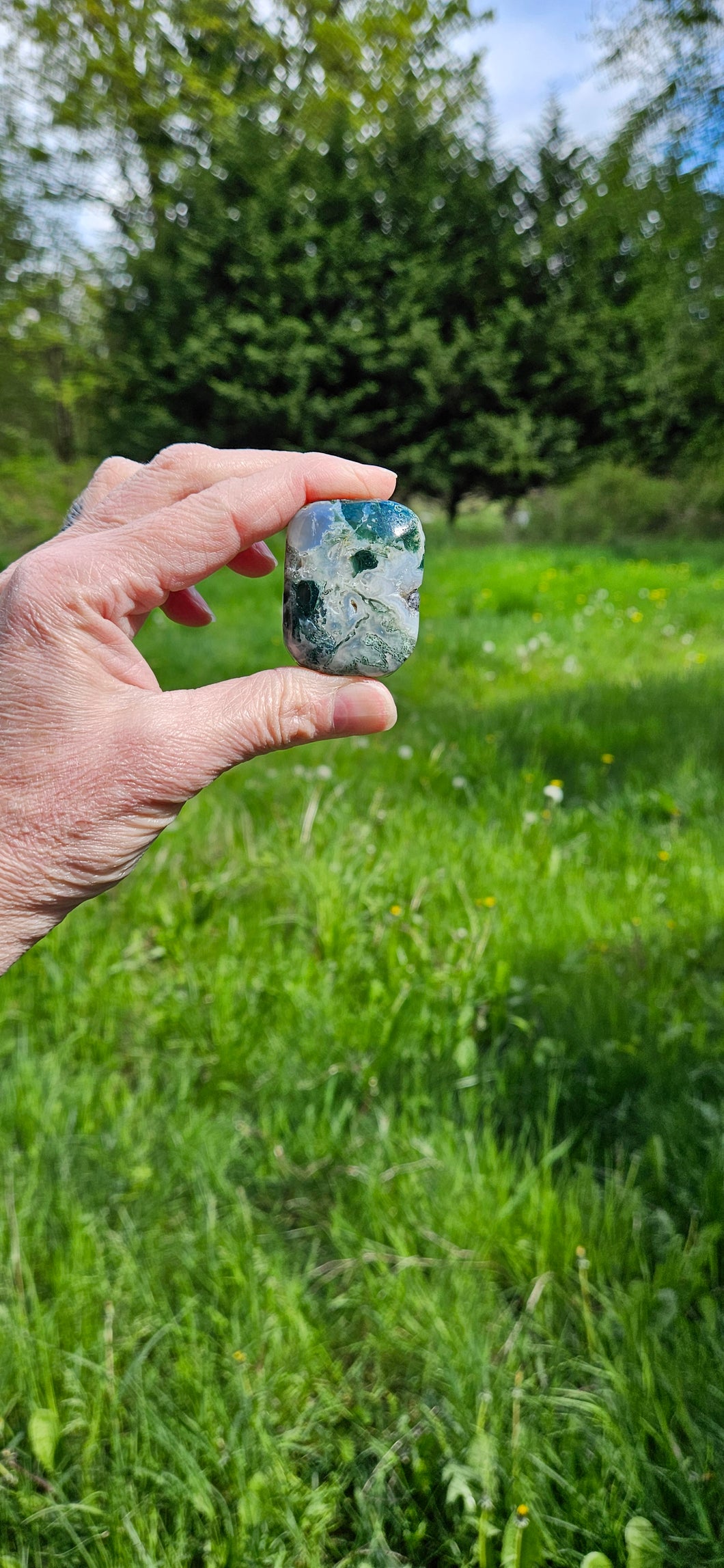 Moss Agate Palm Stone