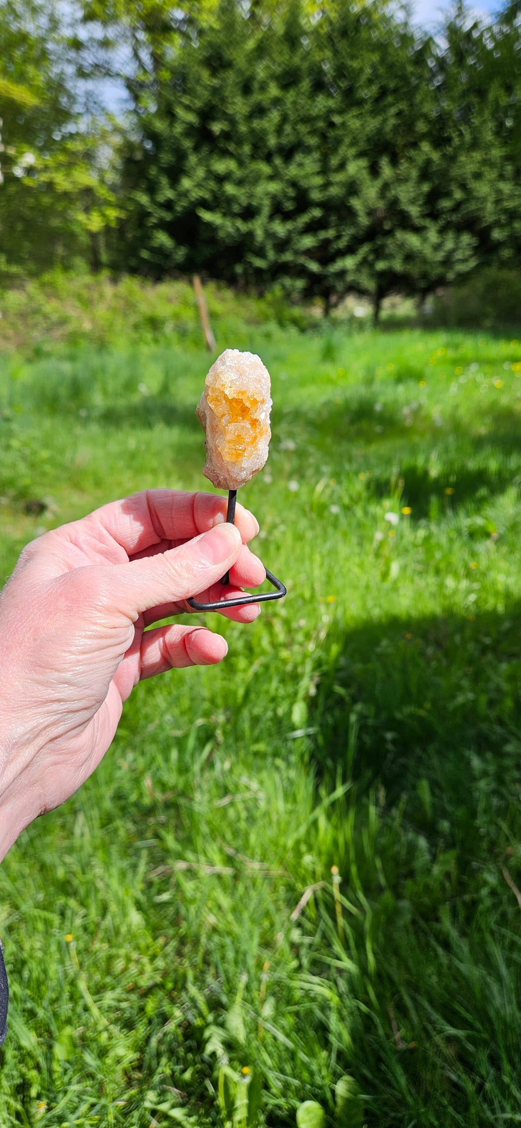 Citrine on Stand