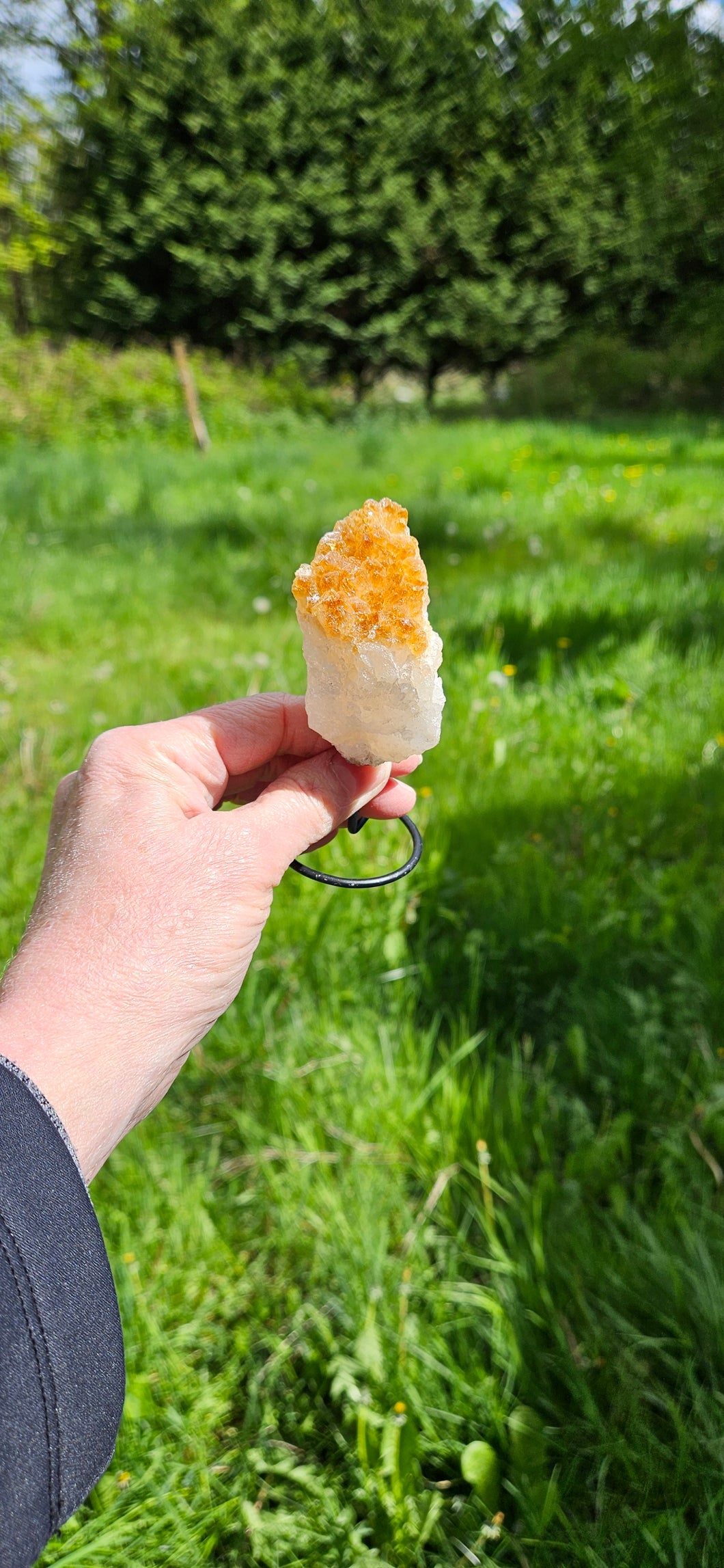 Citrine on Stand