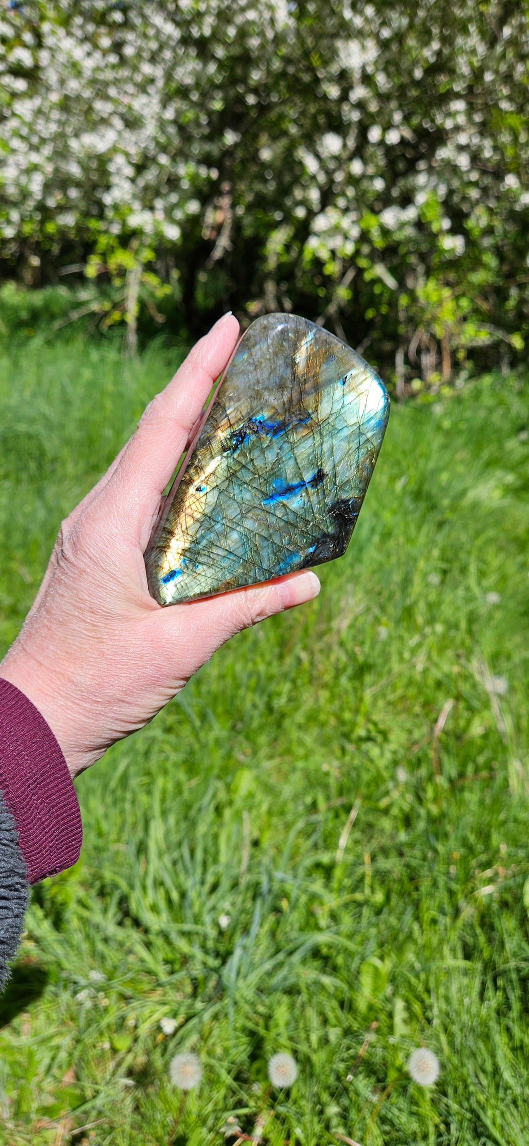 Labradorite Free Form