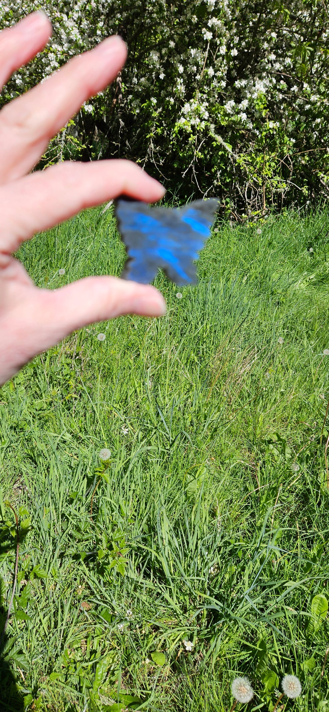 Labradorite Butterfly