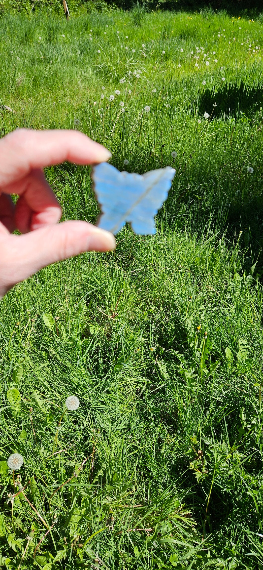 Labradorite Butterfly