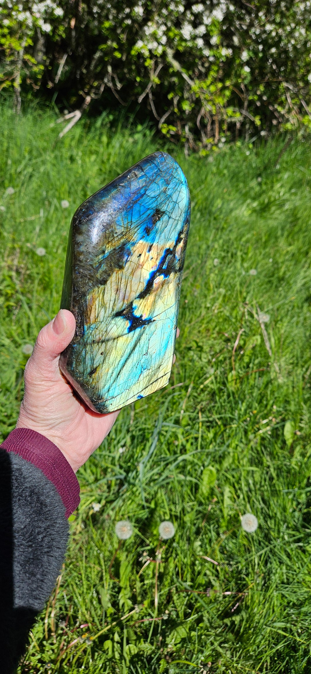 Labradorite Freeform