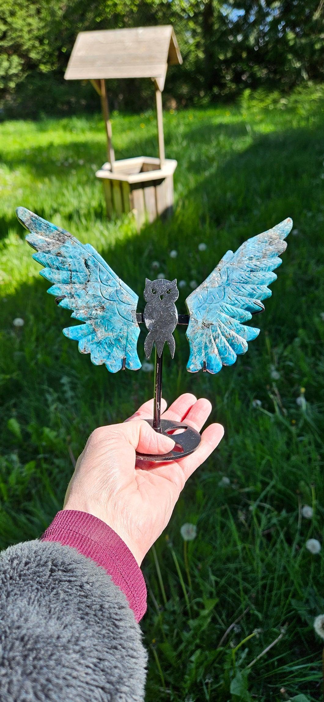 Apatite Owl Wings on Stand