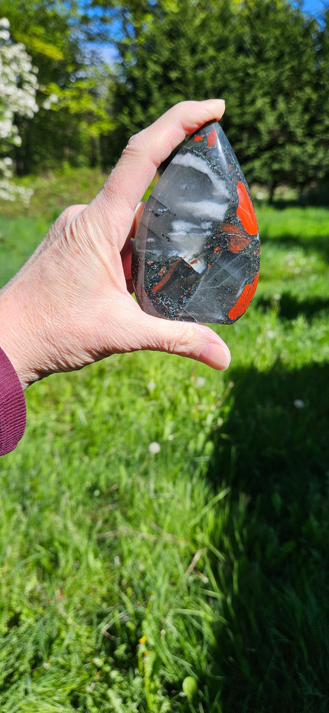 African Bloodstone Teardrop