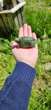 Load image into Gallery viewer, Nephrite Jade Turtle
