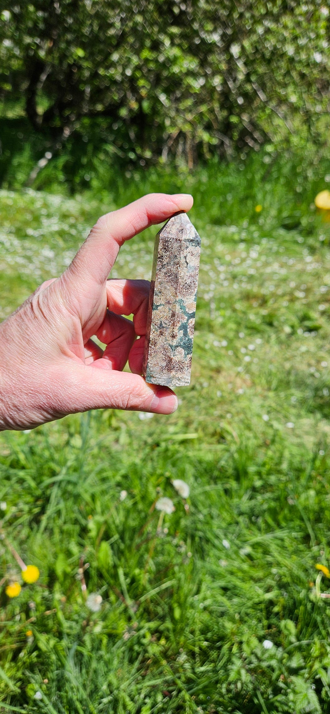 Rhyolite Flower Jasper Point