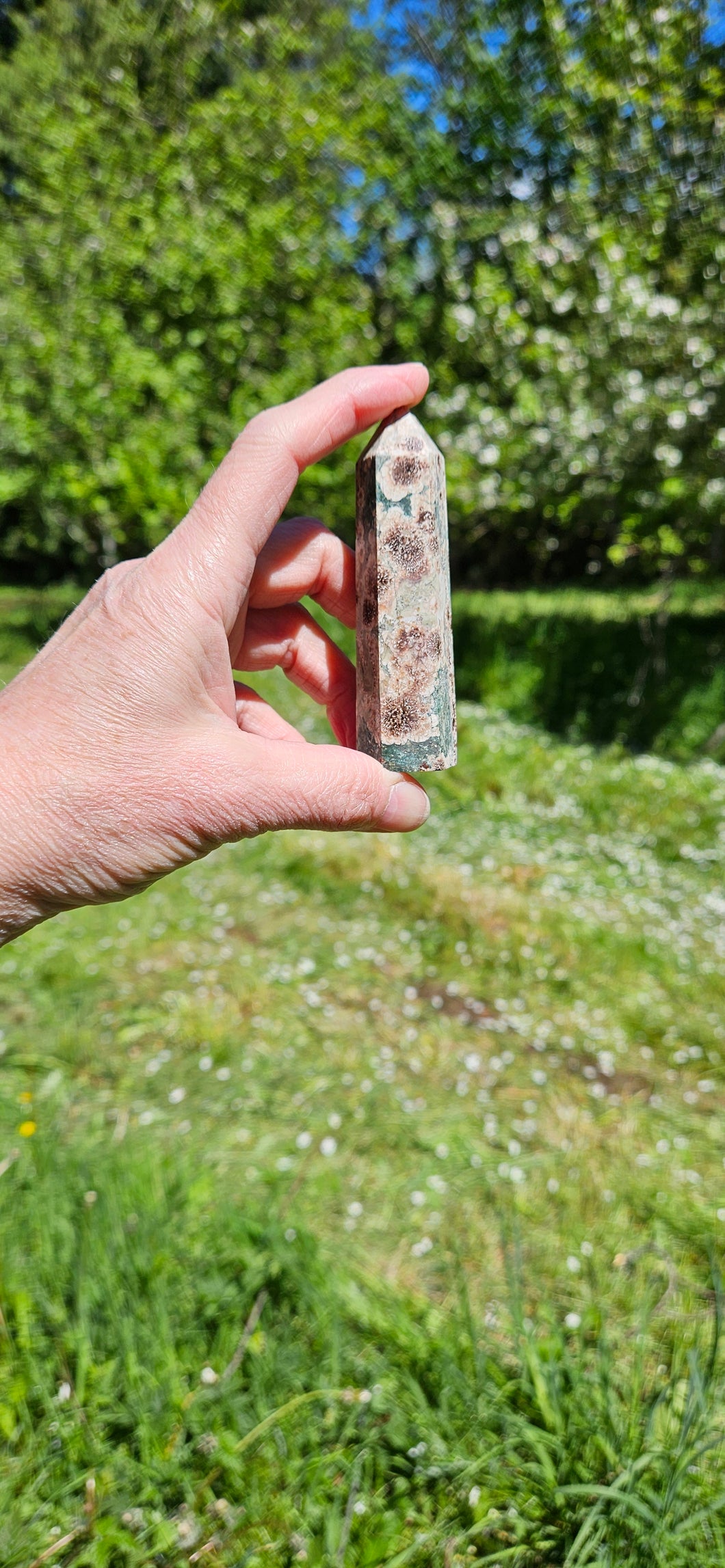 Rhyolite Flower Jasper Point