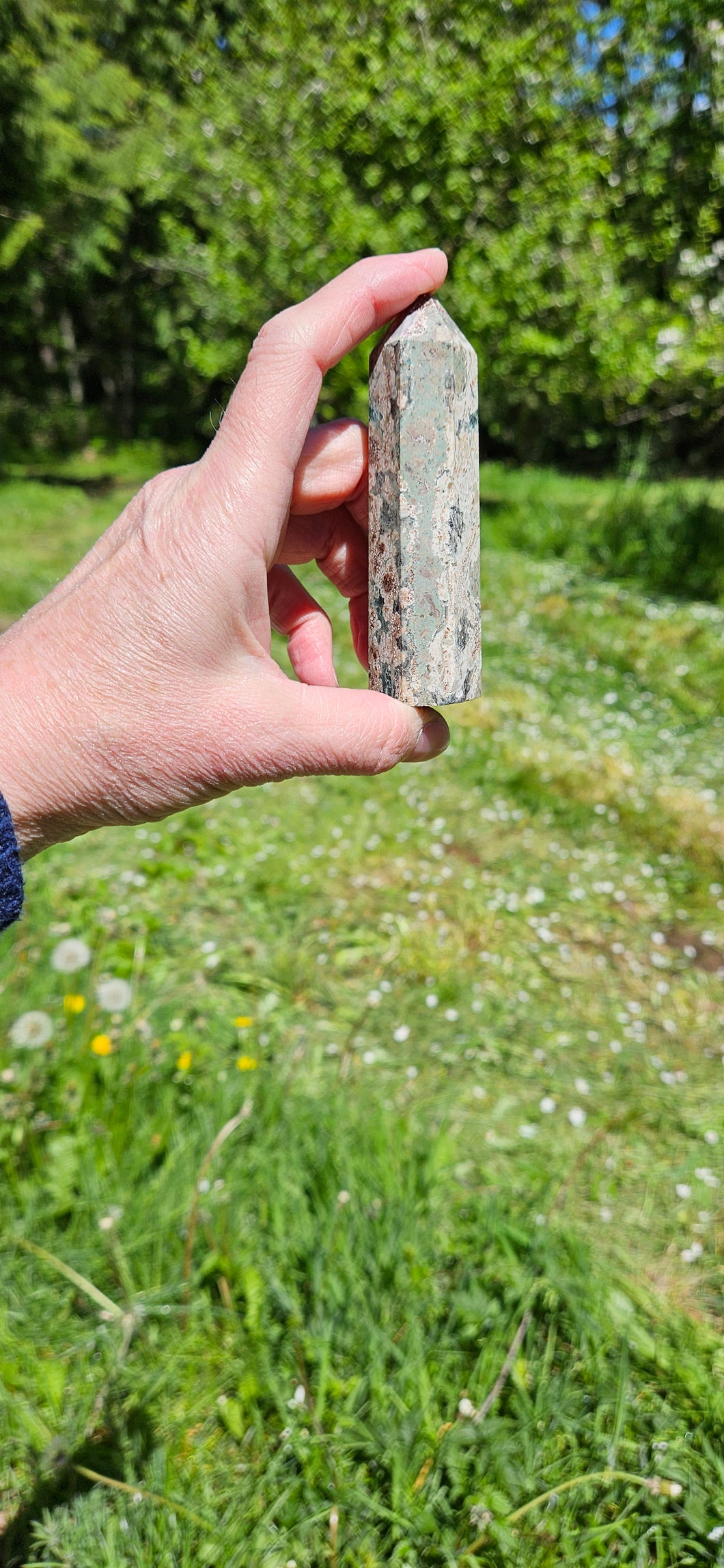 Rhyolite Flower Jasper Point