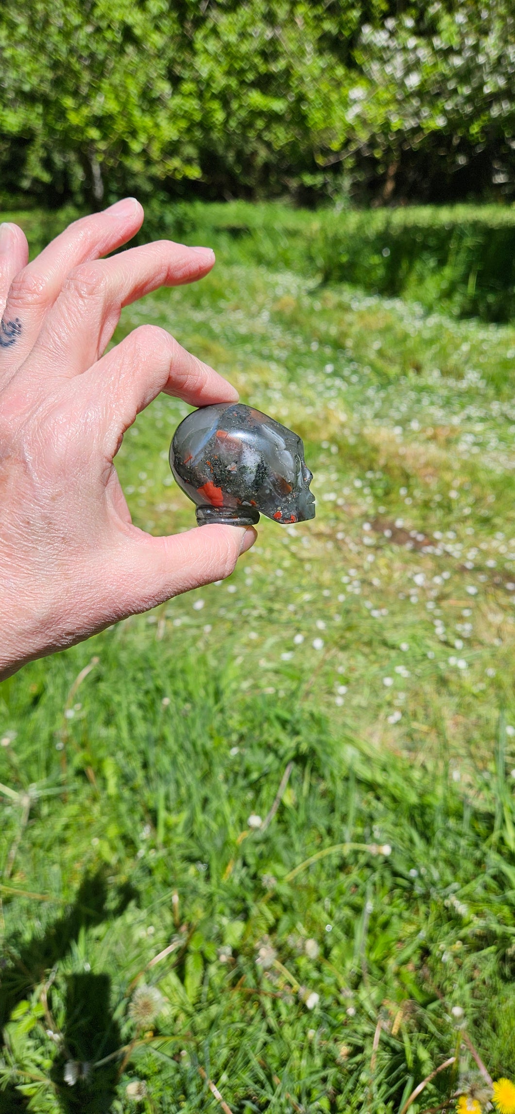 African Bloodstone Alien Head