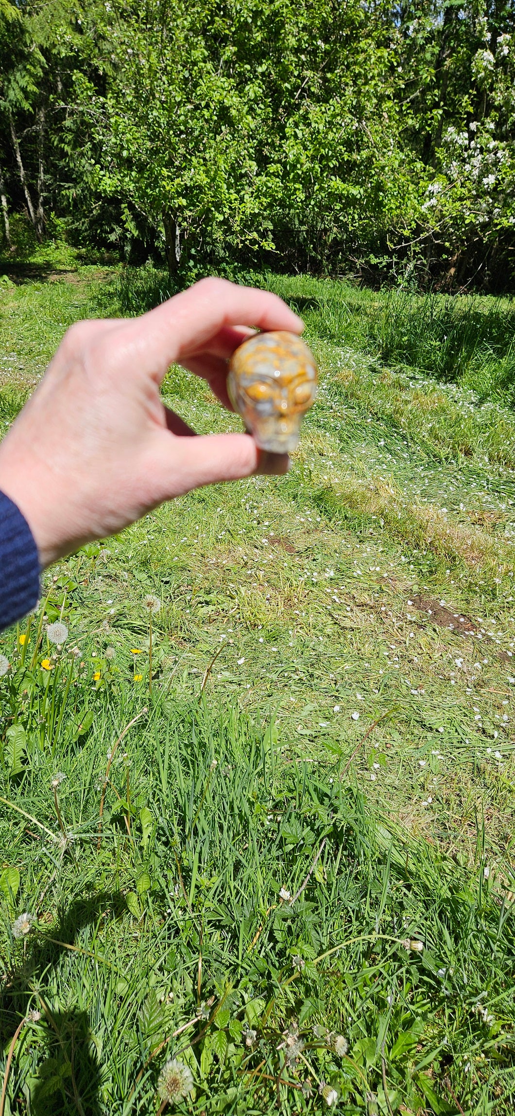 Crazy Lace Agate Alien Head