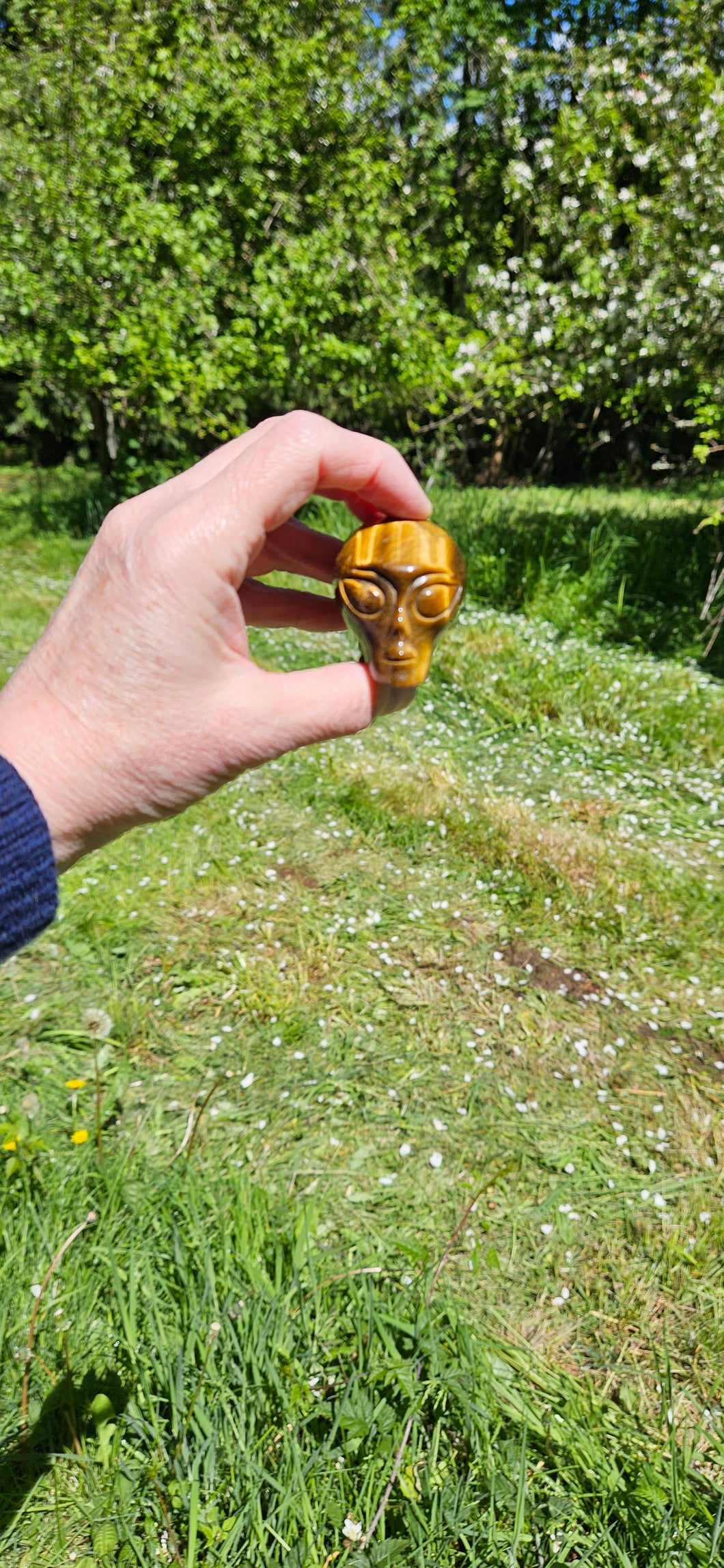 Tiger Eye Alien Head