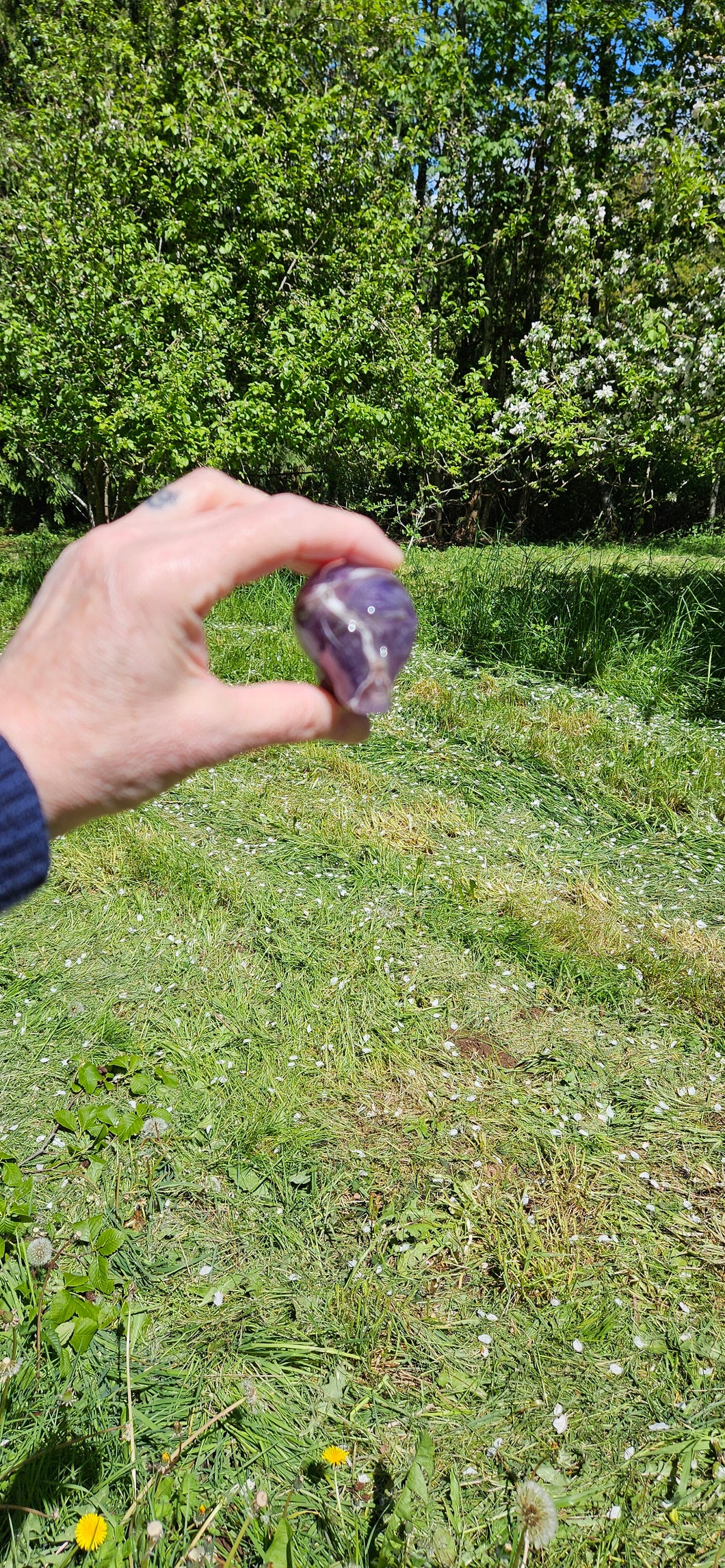 Amethyst Alien Head