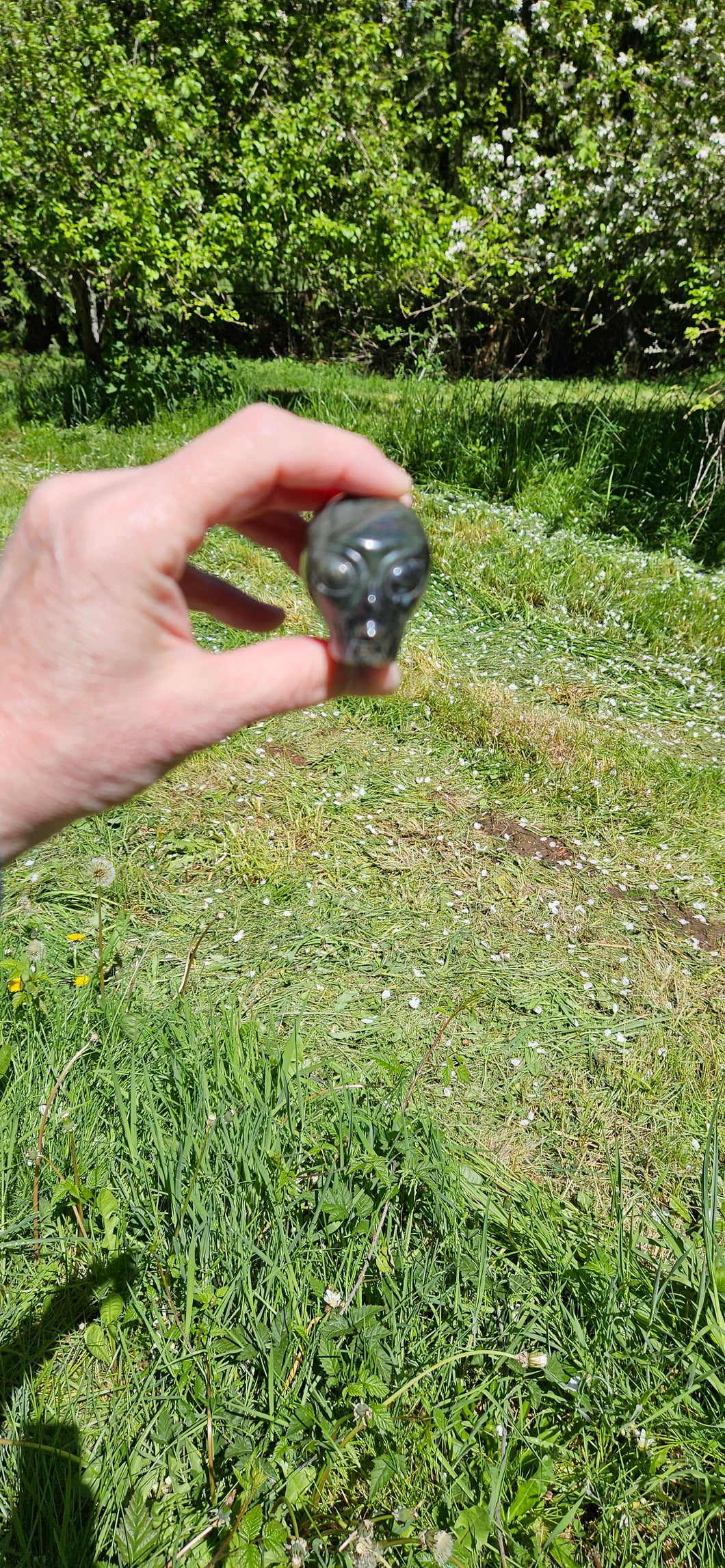 African Bloodstone Alien Head