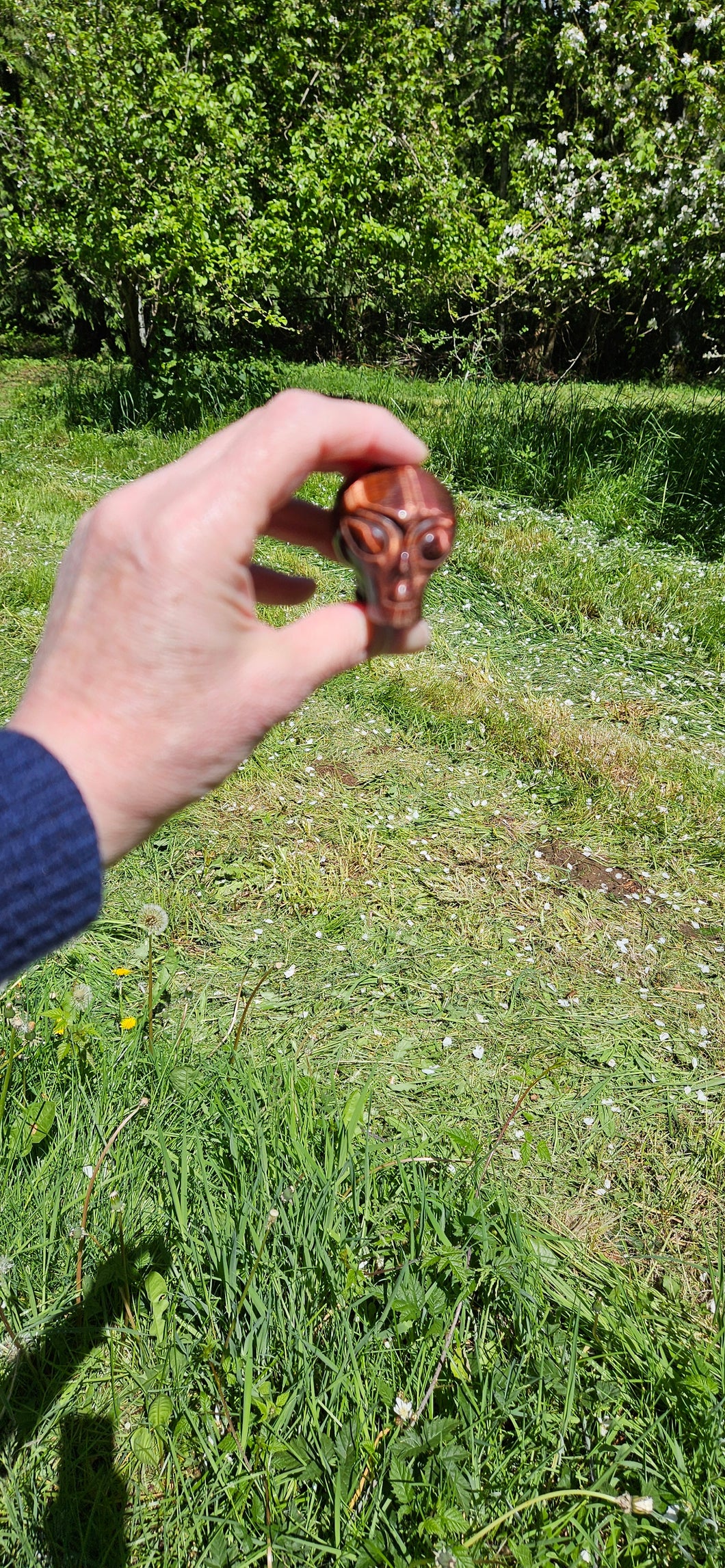 Red Tiger Eye Alien Head