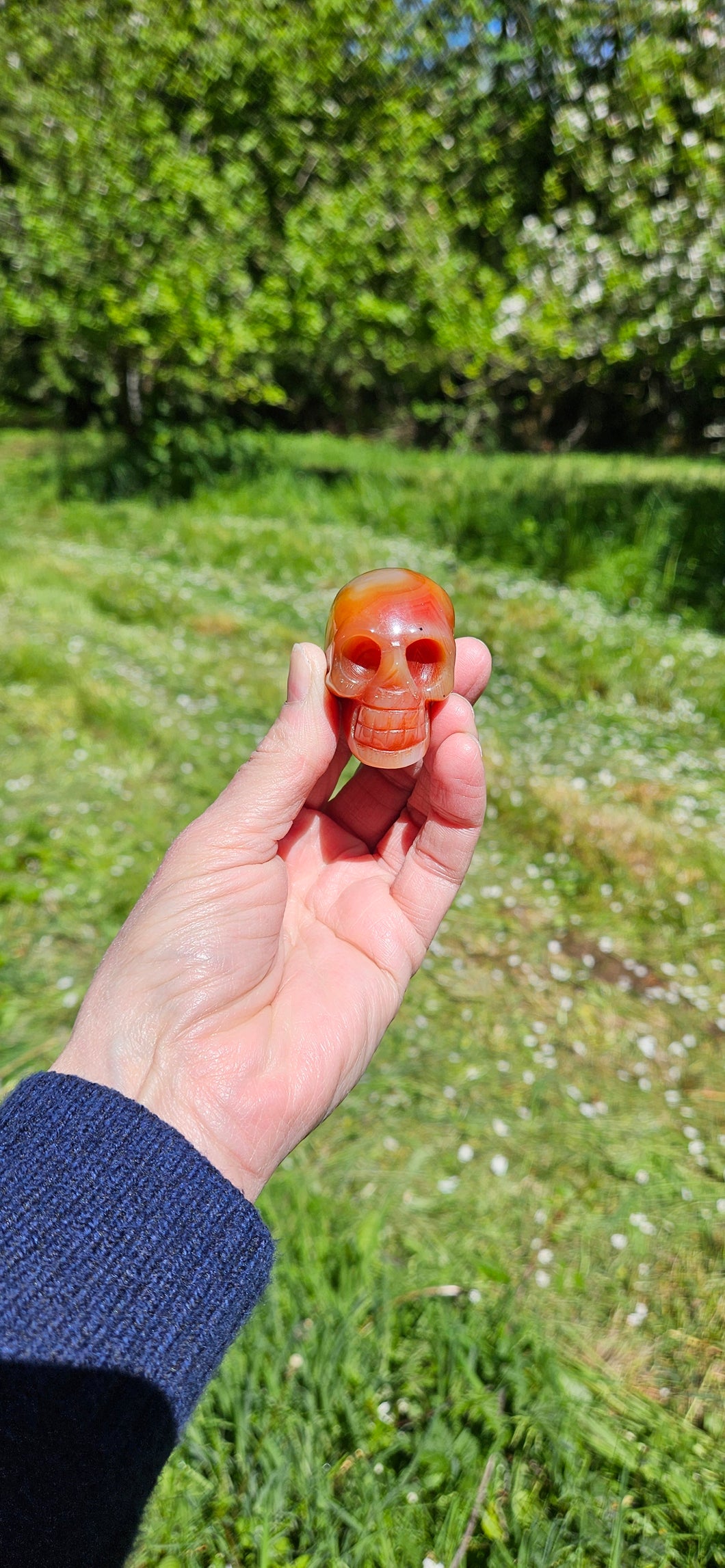 Carnelian Skull