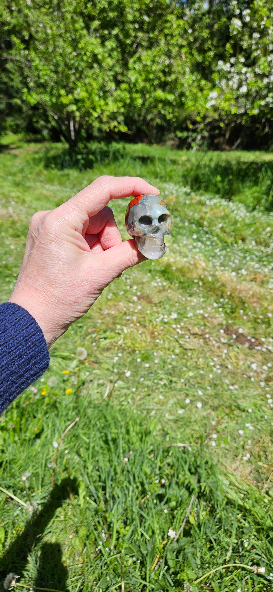 African Bloodstone Skull