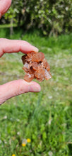 Load image into Gallery viewer, Aragonite Cluster
