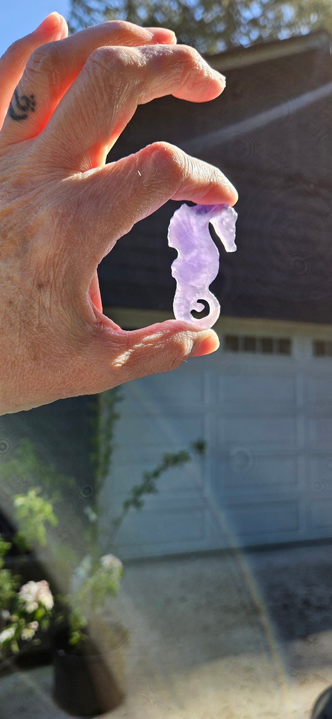 Fluorite Seahorse