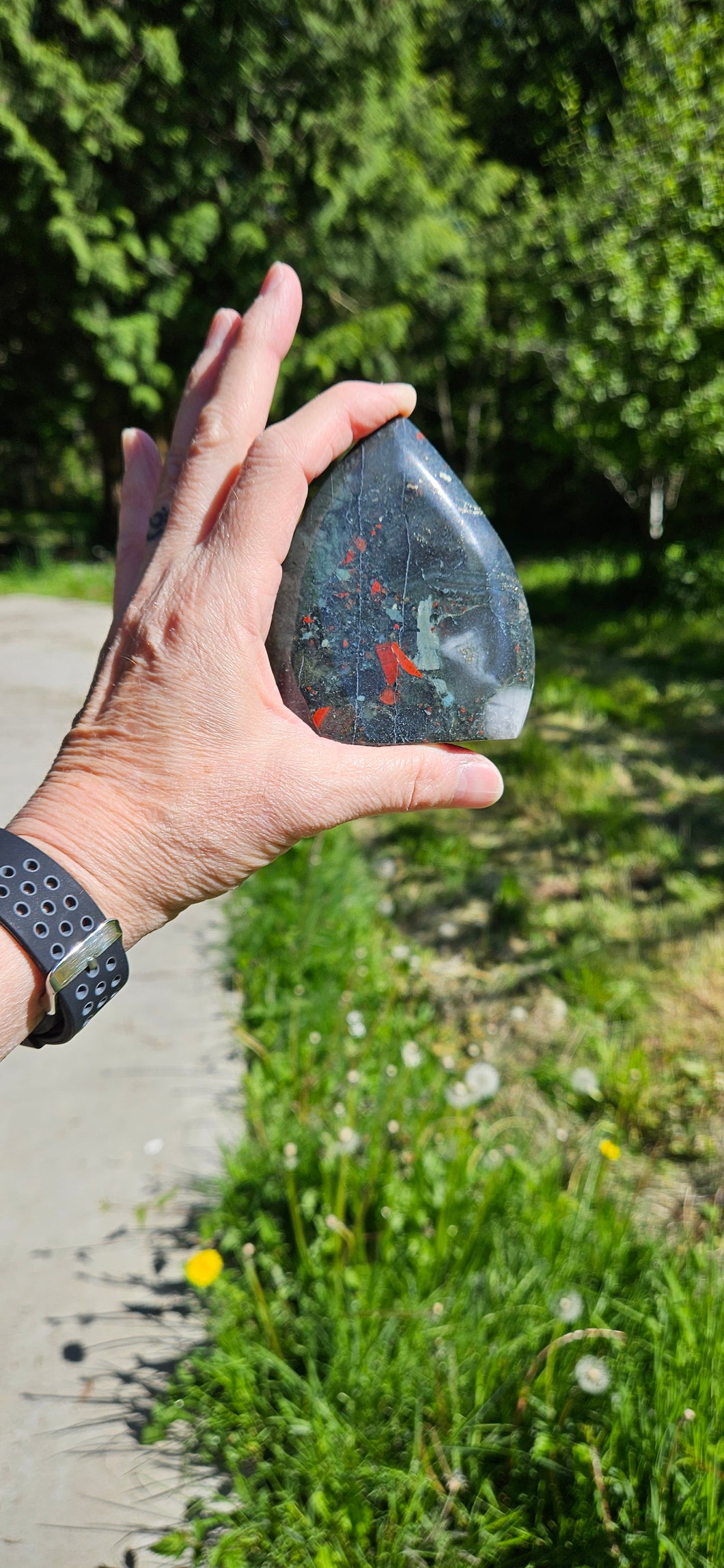 African Bloodstone Teardrop