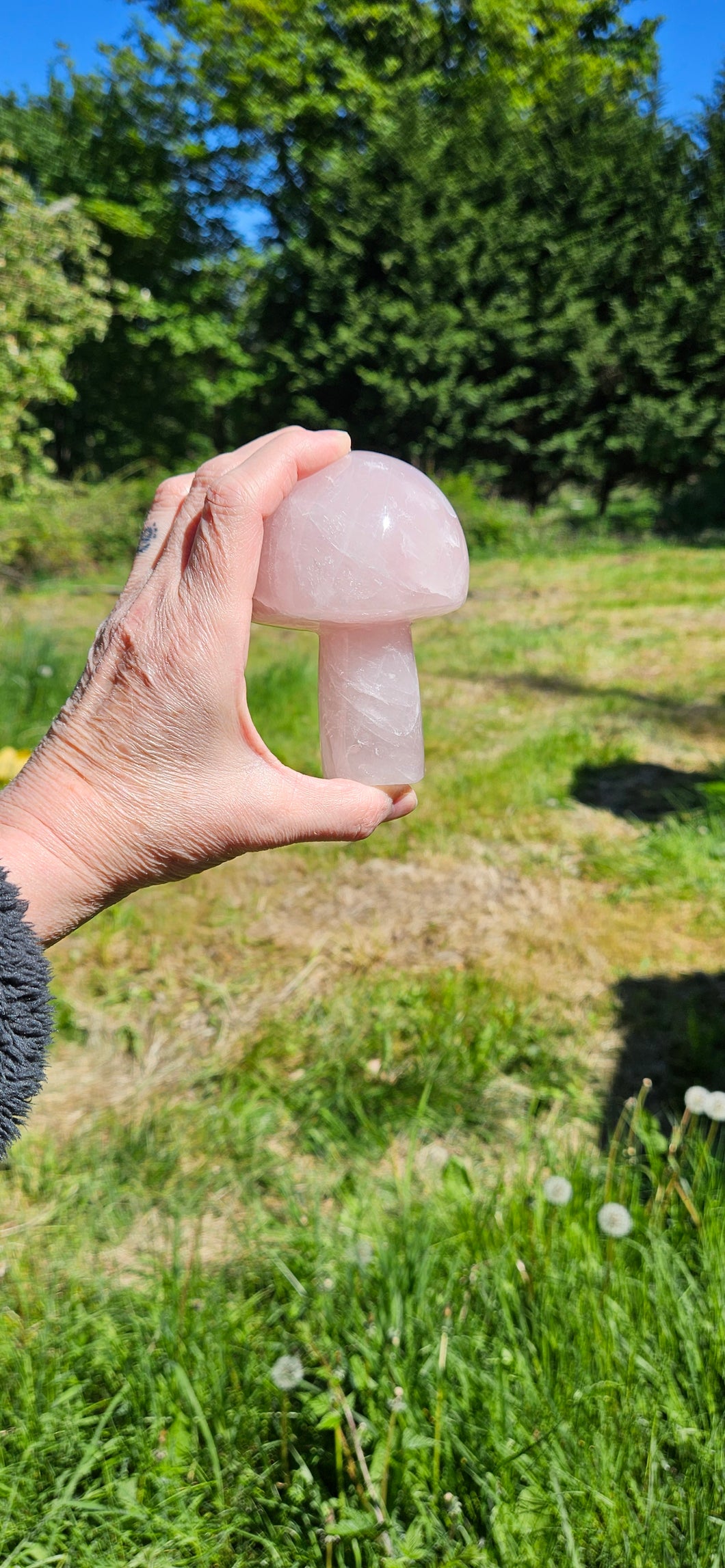 Rose Quartz Mushroom