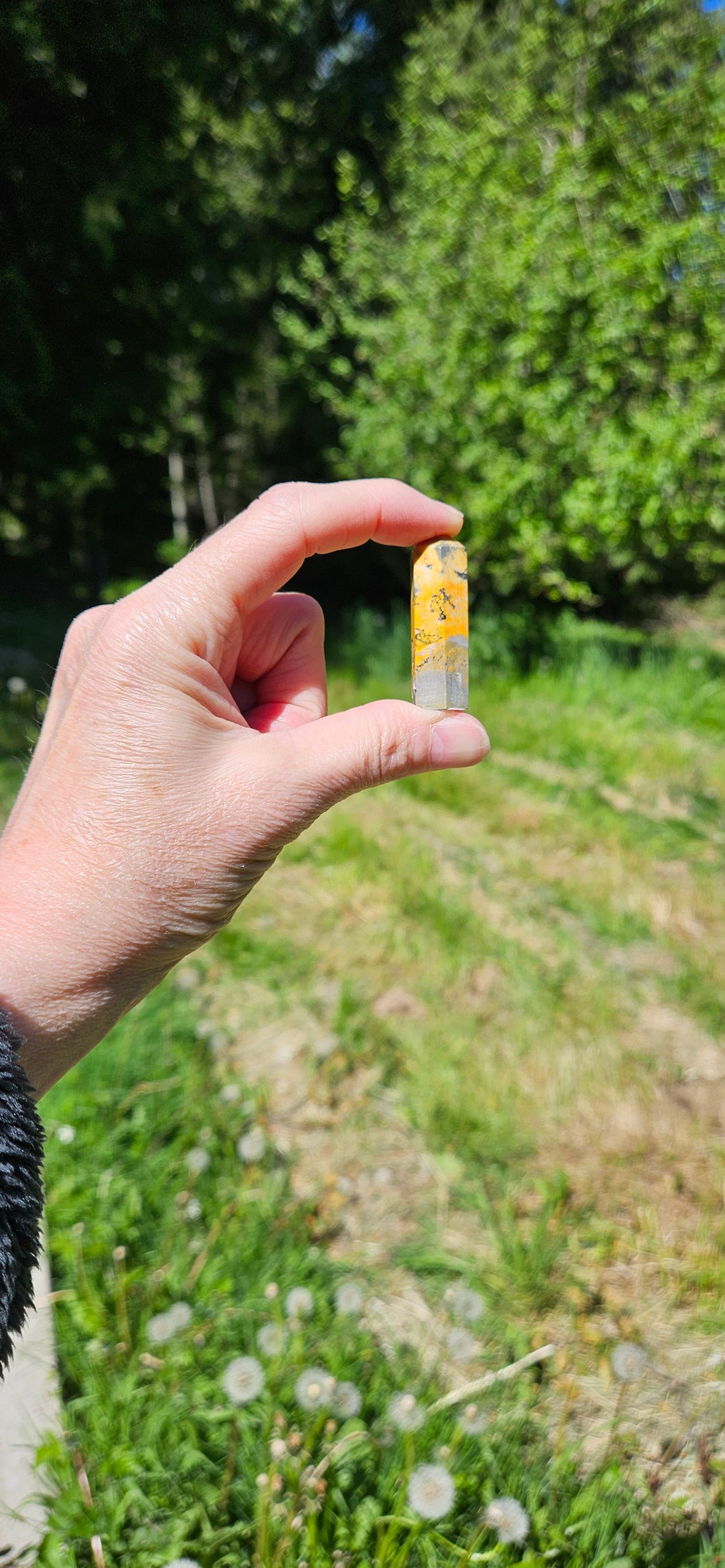 Bumblebee Jasper Mini Point