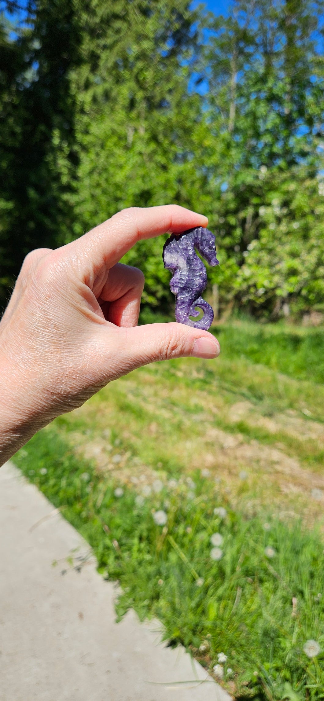 Lepidolite Seahorse