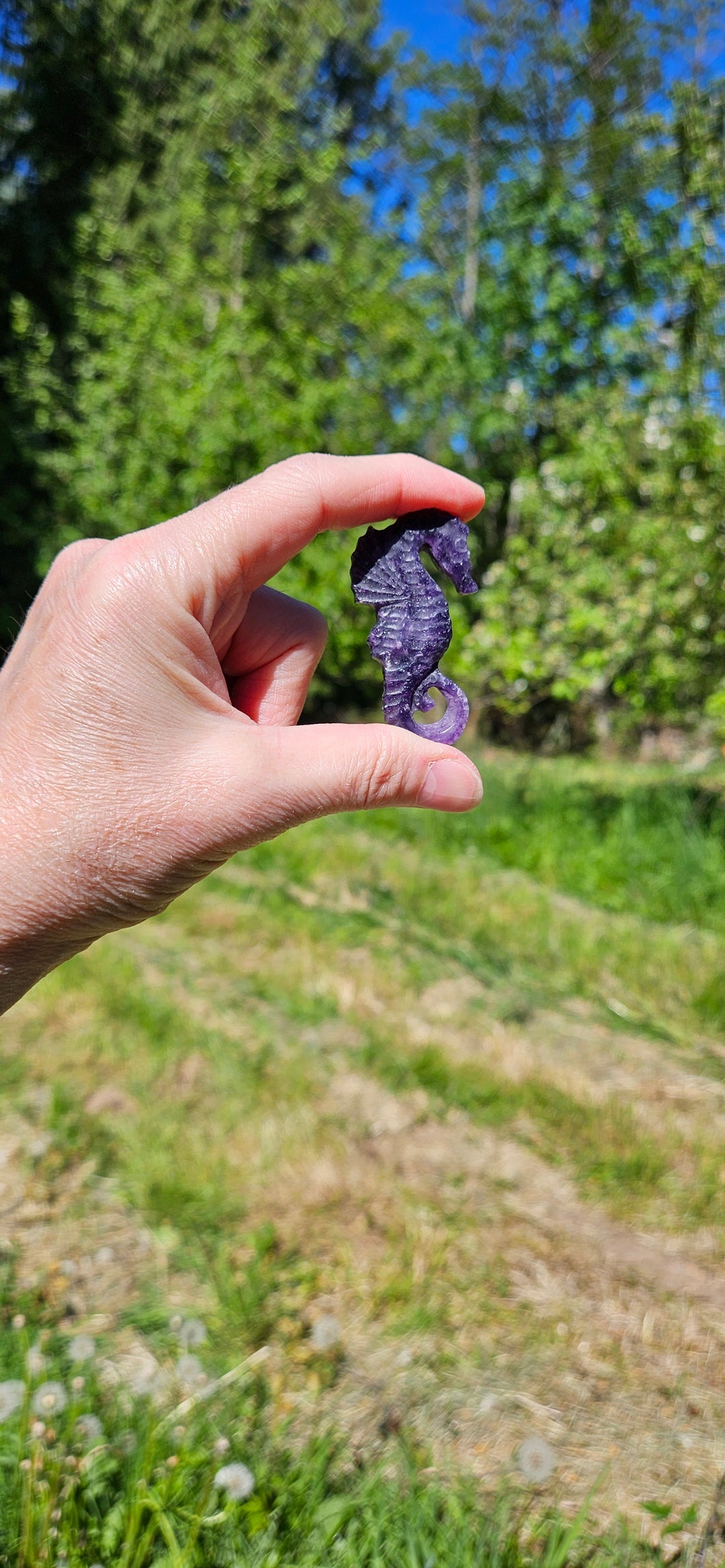 Lepidolite Seahorse