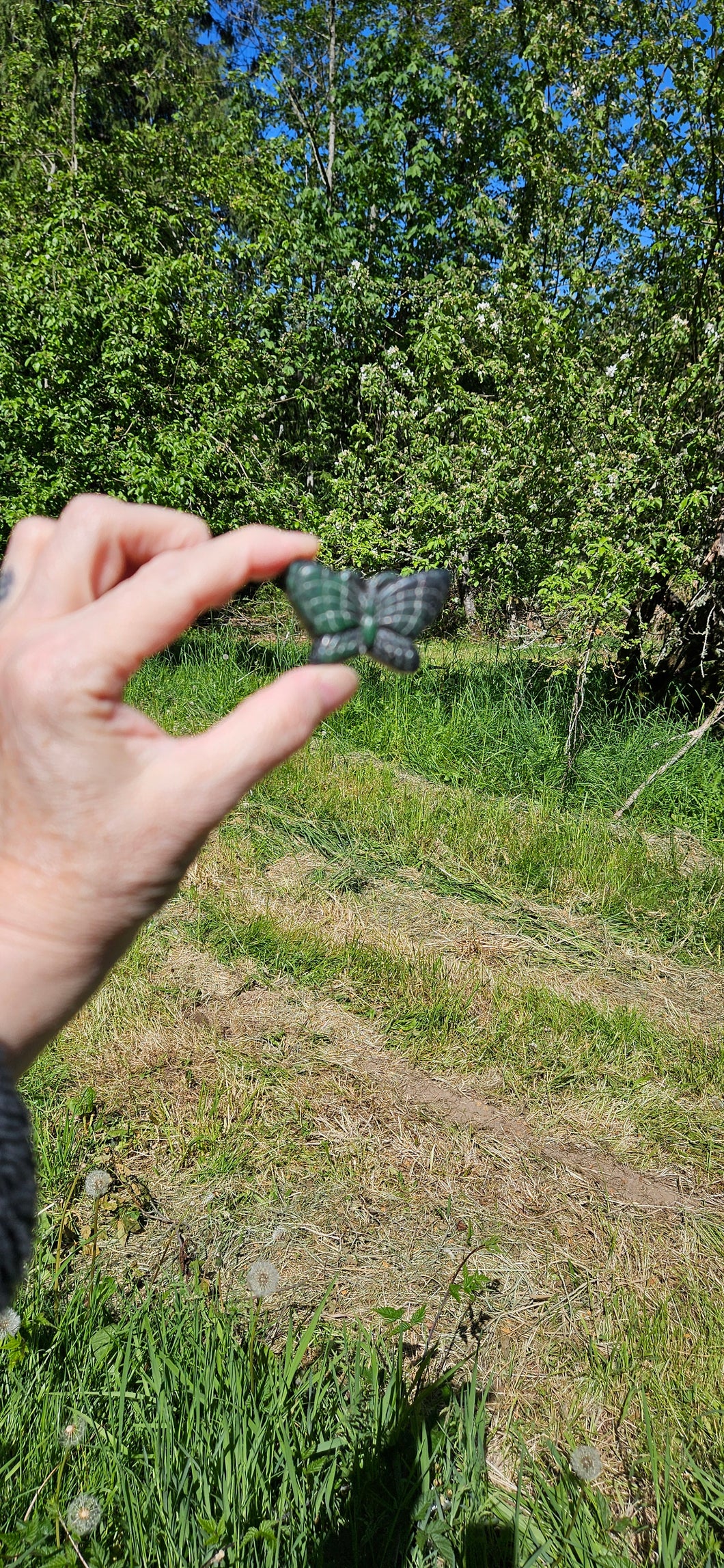 Ruby in Zoisite Butterfly