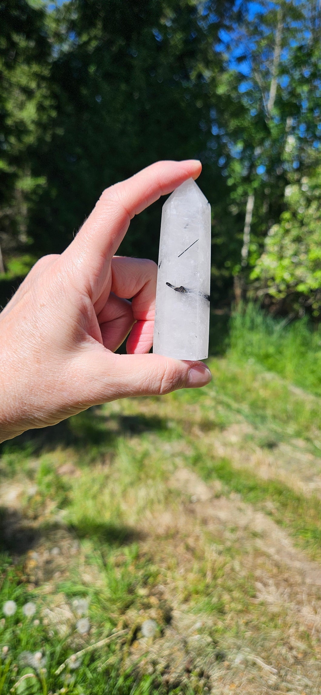 Tourmalated Quartz Point