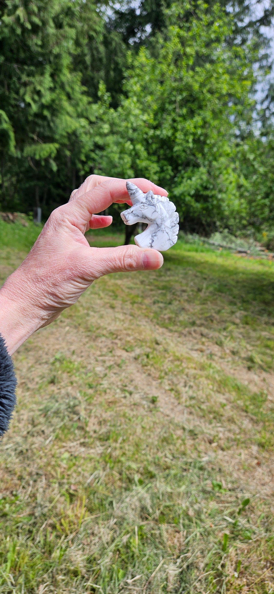 Howlite Unicorn