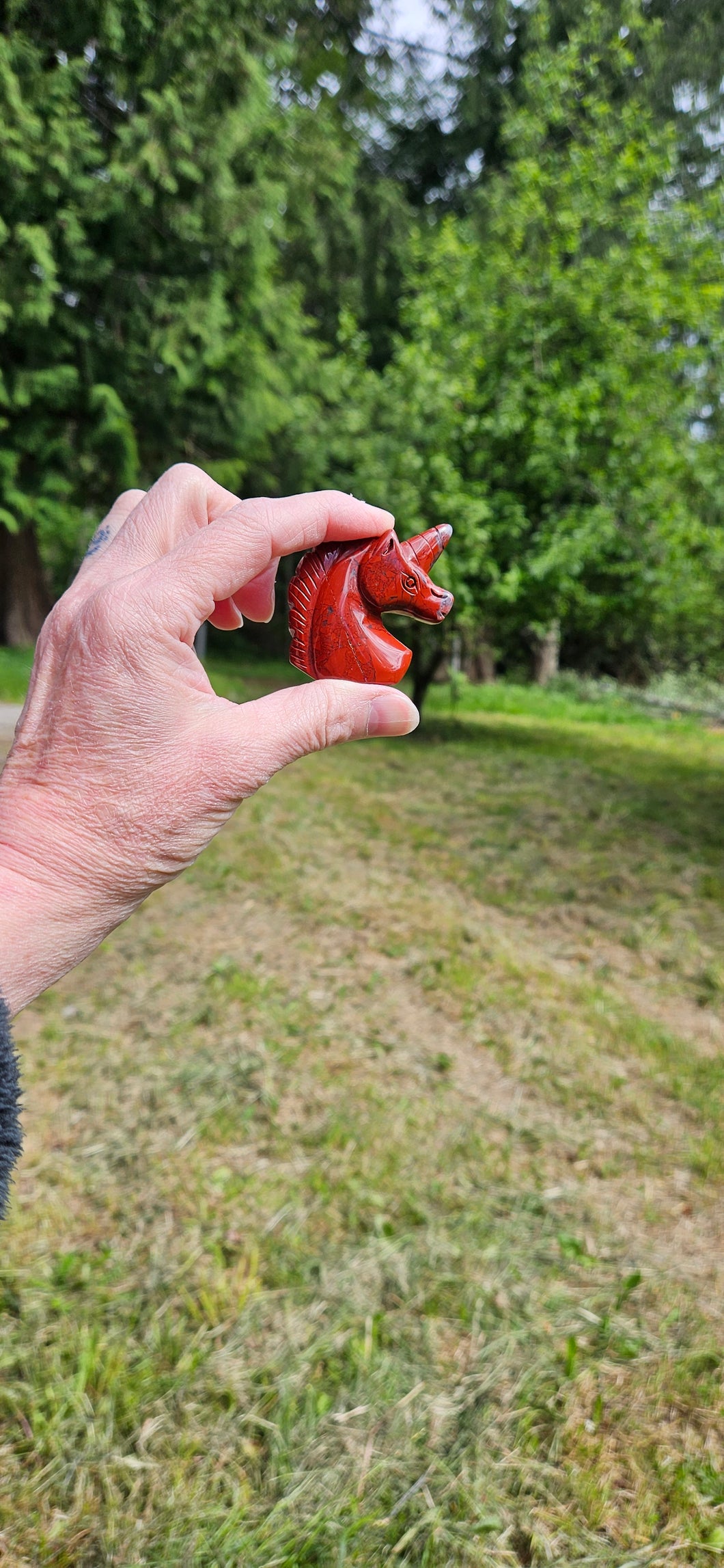 Red Jasper Unicorn