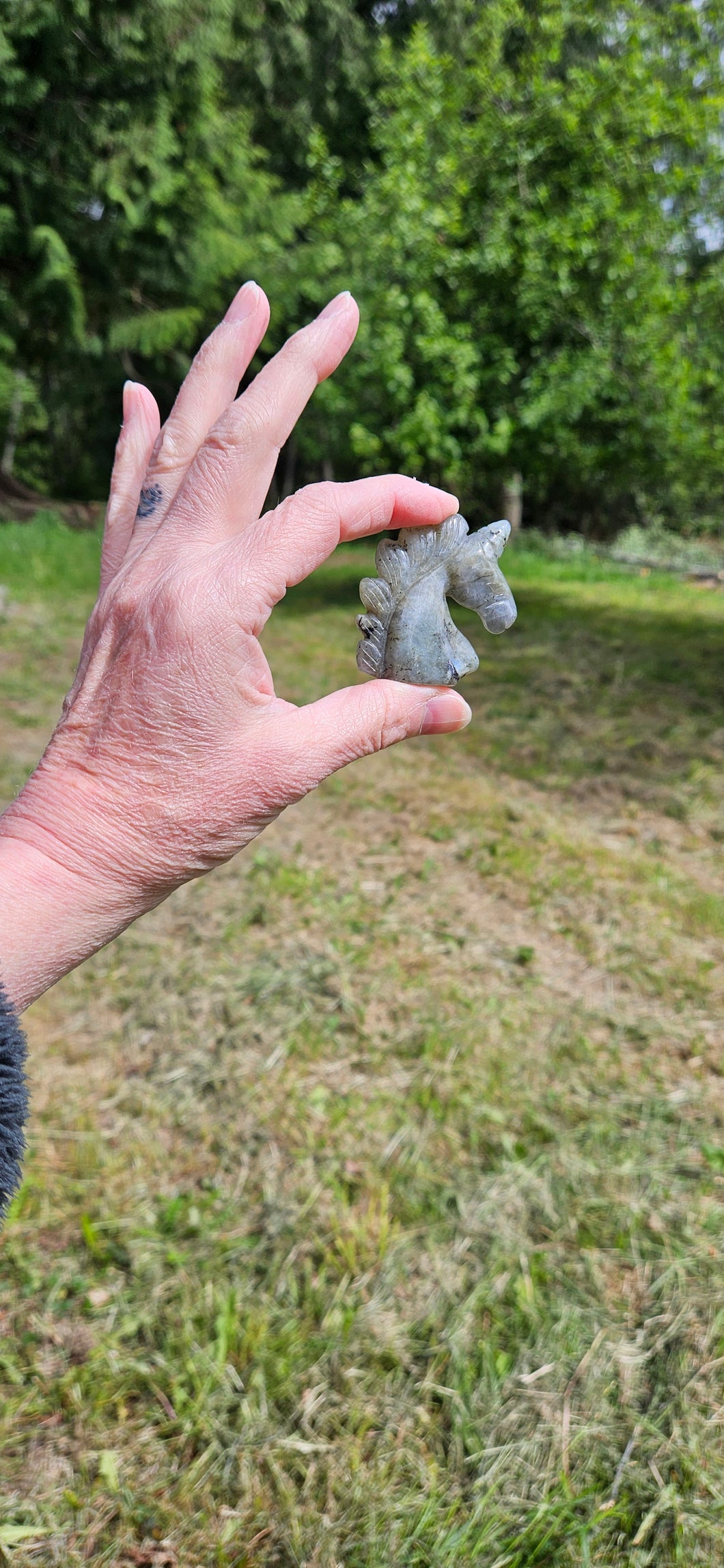 Labradorite Unicorn